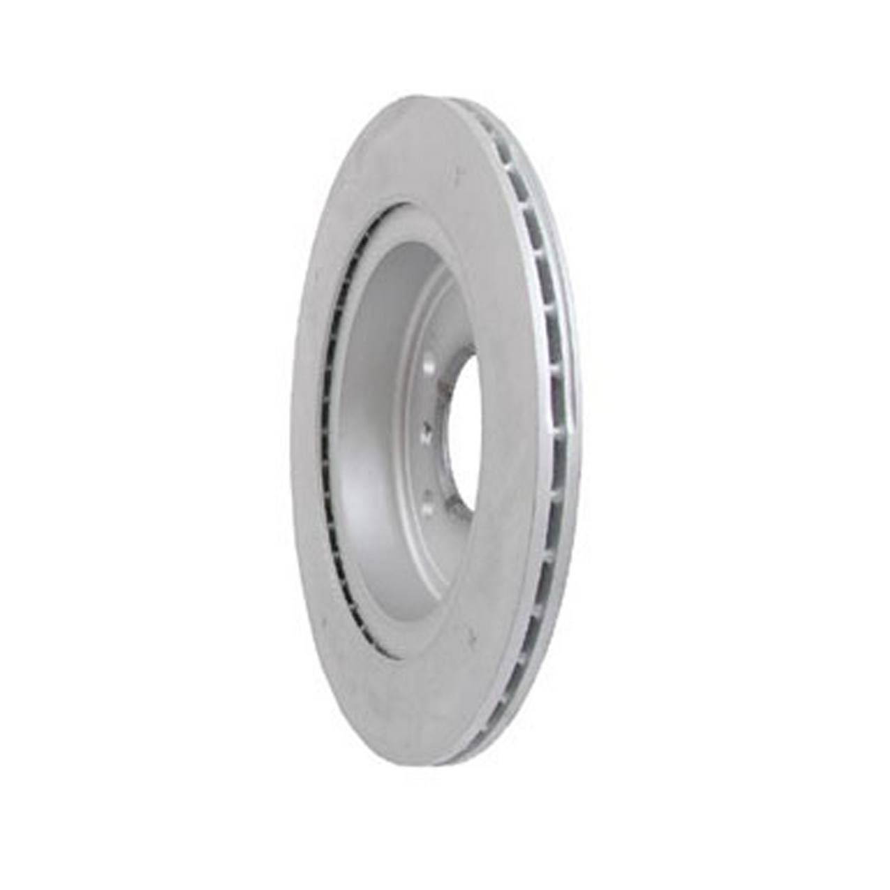 Disc Brake Rotor - Rear (300mm)